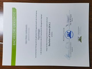 IST管理学院毕业证书