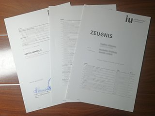 IU International University transcript