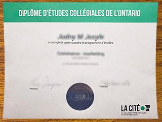 拉塞特学院证书