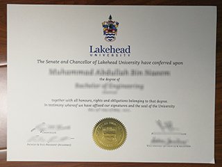 湖首大学学位证书