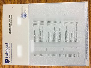 湖首大学成绩单