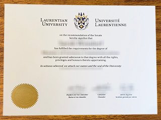 劳伦森大学文凭