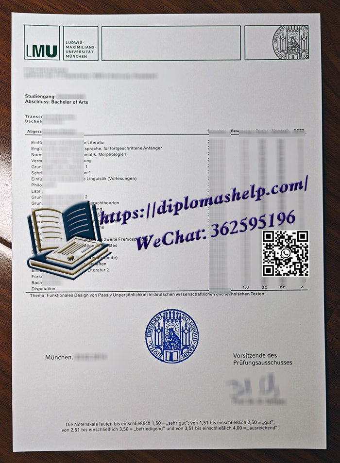 慕尼黑大学成绩单
