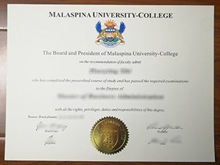 马拉斯比纳大学文凭