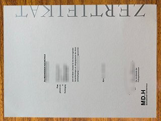 柏林媒体设计学院毕业证书