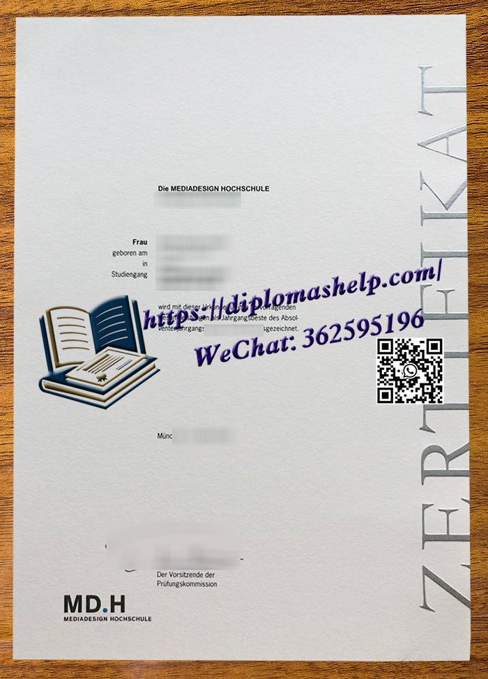 柏林媒体设计学院文凭
