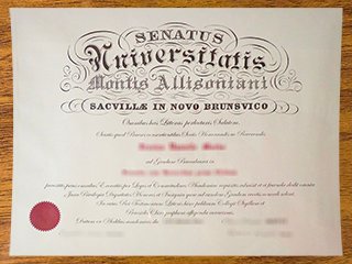 蒙特爱立森大学毕业证书