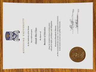 尼皮辛大学毕业证书