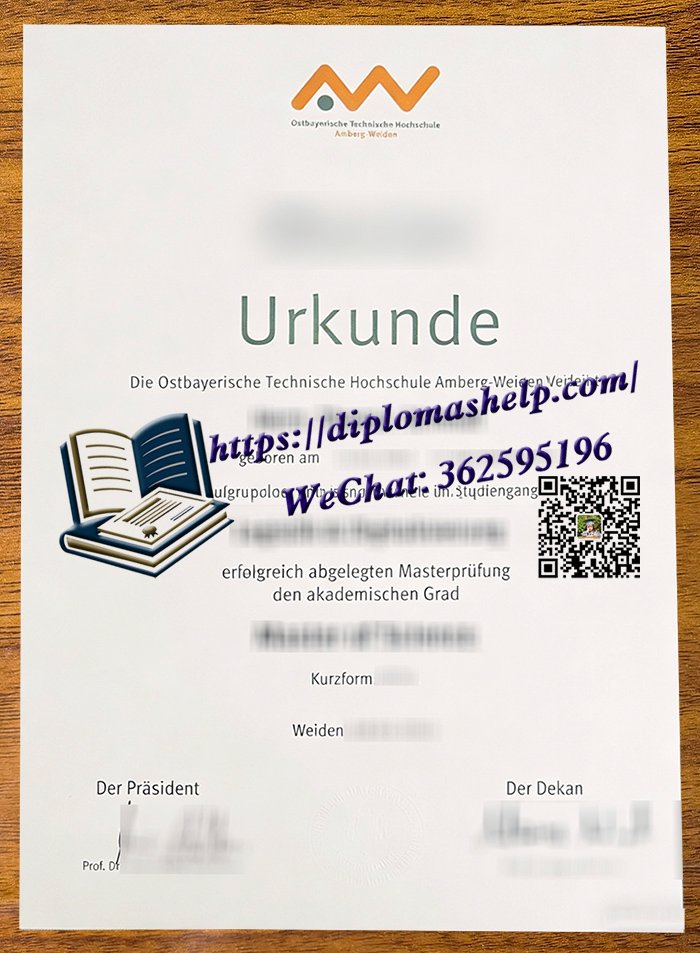东巴伐利亚技术大学文凭