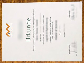东巴伐利亚技术大学毕业证书