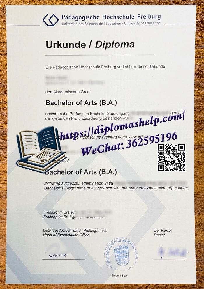弗莱堡教育大学文凭
