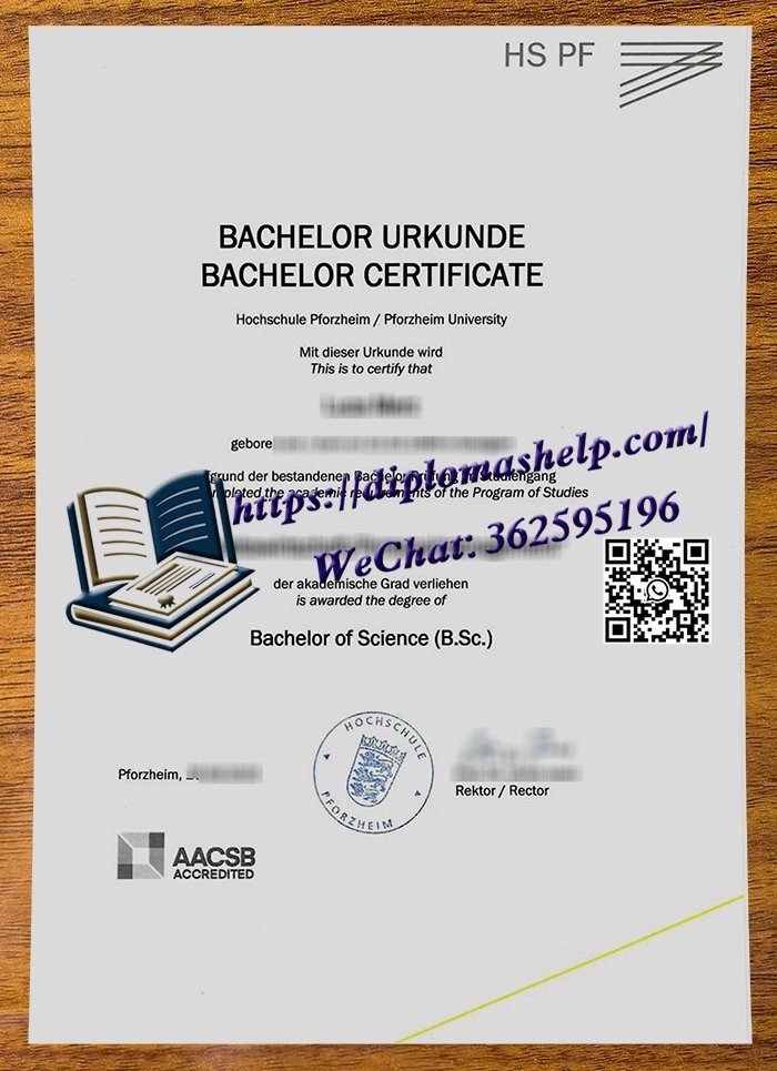 普福尔茨海姆应用技术大学文凭