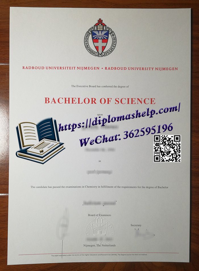 内梅亨大学文凭