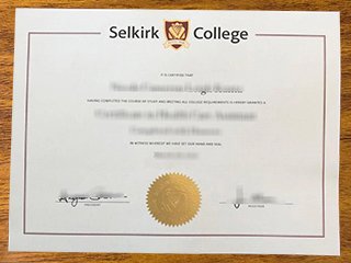 塞尔寇克学院毕业证书