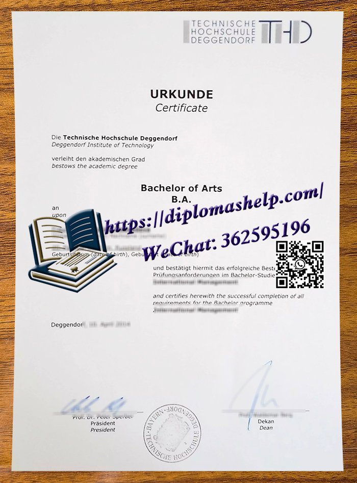 代根多夫应用技术大学文凭