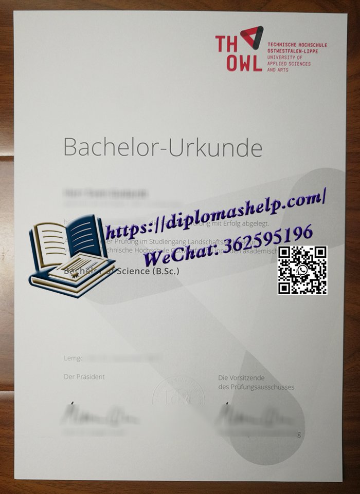 TH OWL应用科学与艺术大学文凭