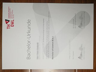 TH OWL应用科学与艺术大学毕业证书