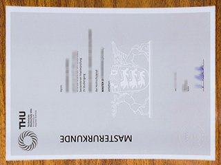 乌尔姆工业技术大学文凭