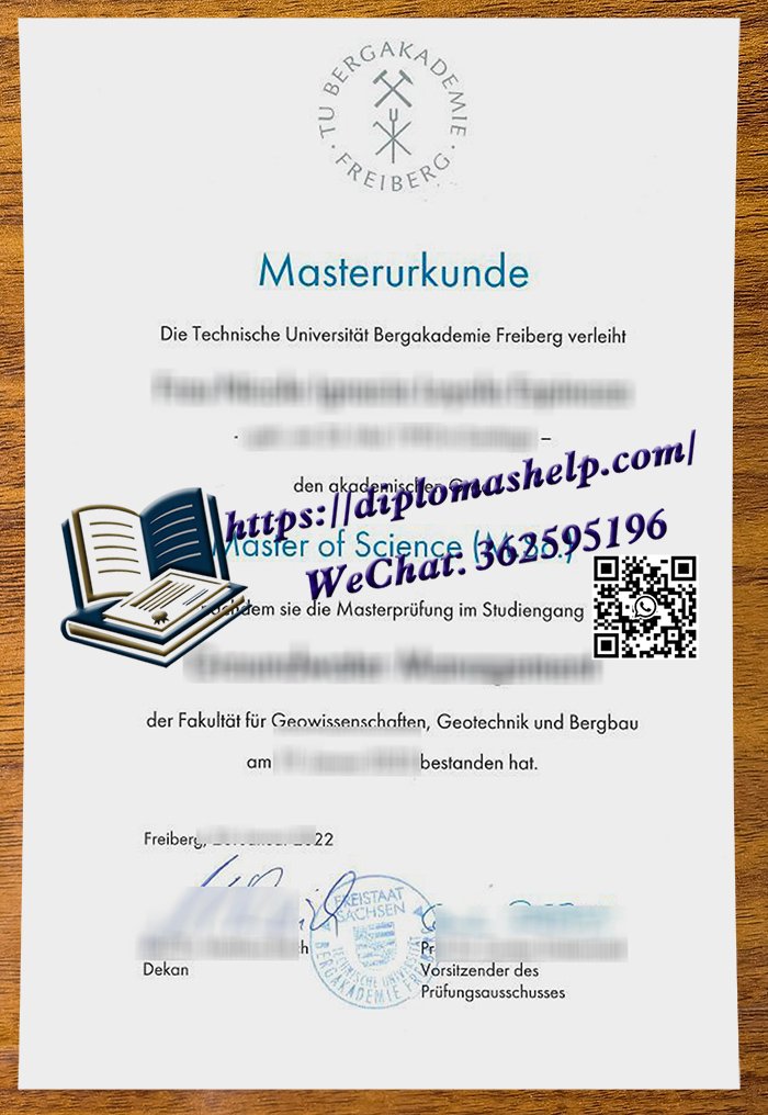 弗莱贝格工业大学文凭