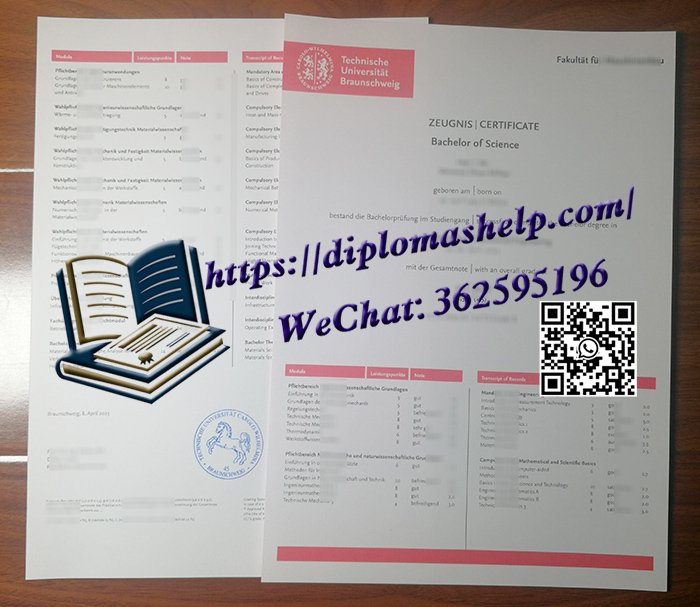 布伦瑞克工业大学成绩单