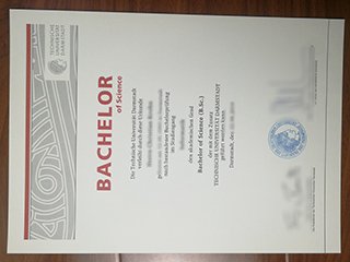 达姆施塔特工业大学毕业证书
