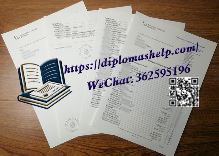 多特蒙德工业大学成绩单