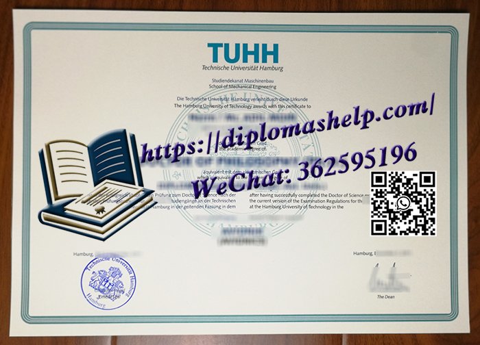 汉堡工业大学文凭