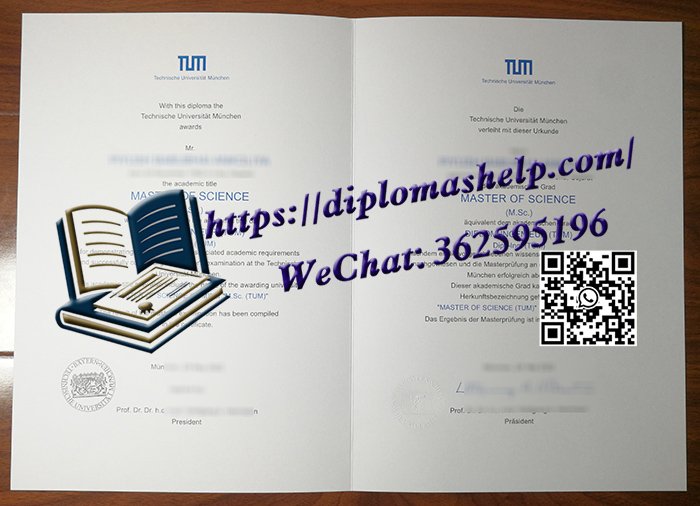 慕尼黑工业大学文凭