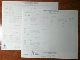 多伦多都市大学成绩单
