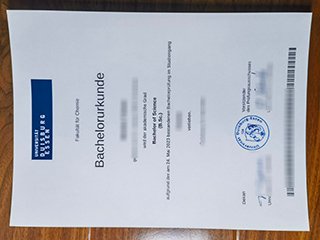 杜伊斯堡-埃森大学毕业证书