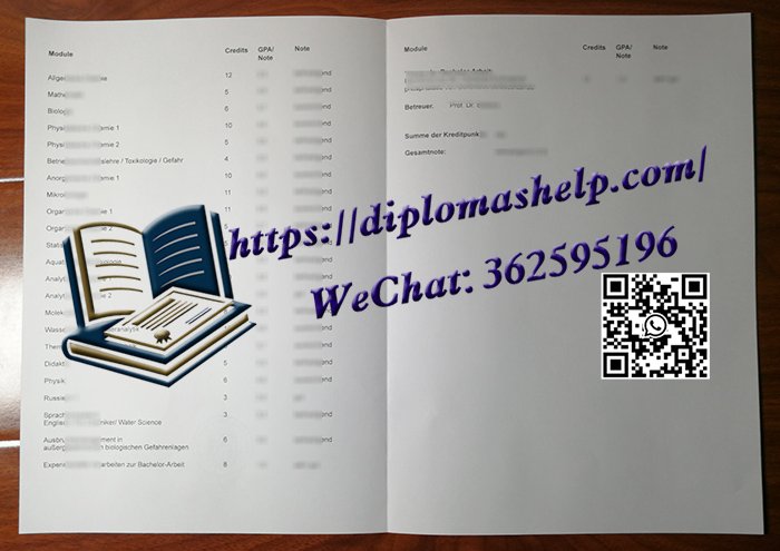 德国杜伊斯堡-埃森大学成绩单/Universität Duisburg-Essen transcript