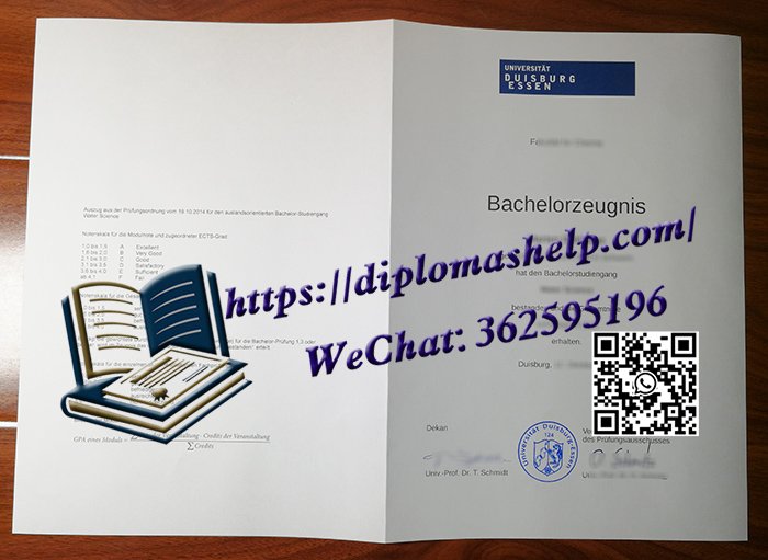 杜伊斯堡-埃森大学成绩单