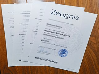 Universität Freiburg transcript