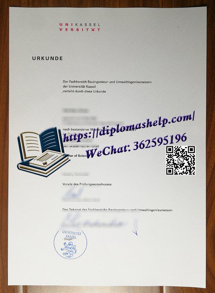 卡塞尔大学文凭