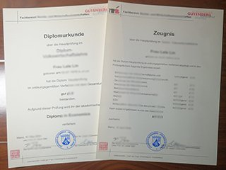Universität Mainz transcript