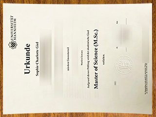曼海姆大学文凭