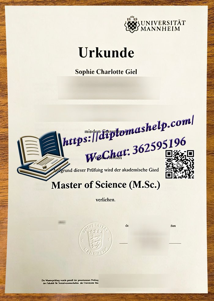 曼海姆大学毕业证书