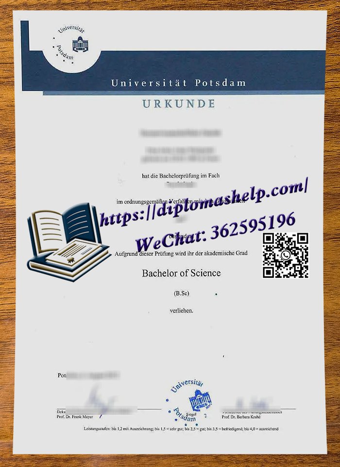 波茨坦大学文凭