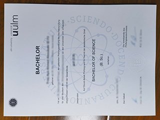 乌尔姆大学毕业证书