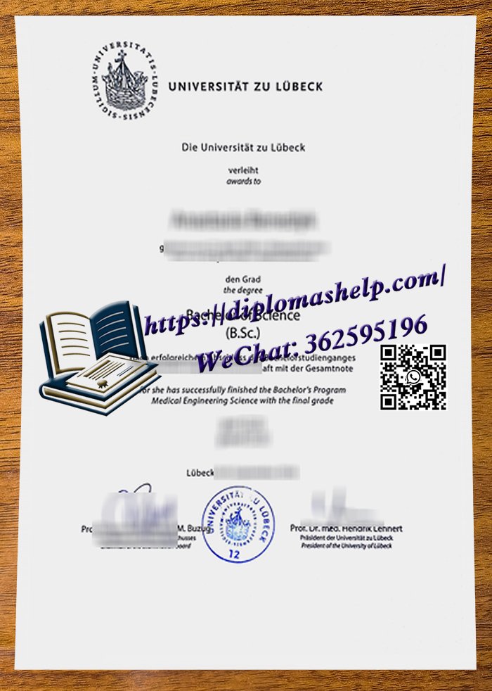 吕贝克大学文凭
