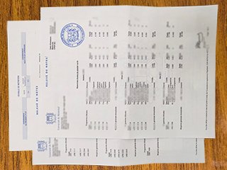 蒙特利尔大学成绩单