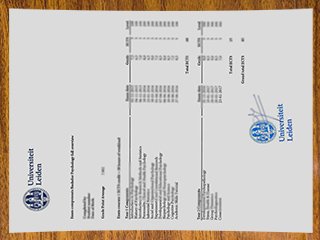 Universiteit Leiden transcript