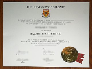 卡尔加里大学文凭