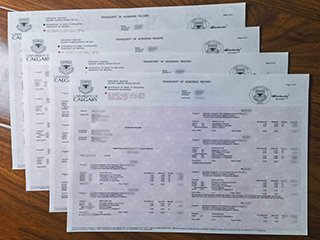 University of Calgary transcript