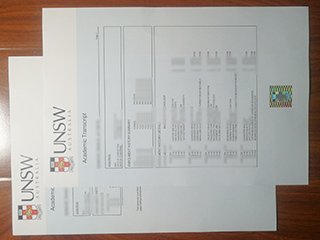 University of New South Wales transcript