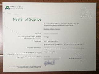 瓦赫宁恩大学毕业证书