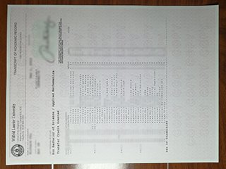 劳瑞尔大学成绩单