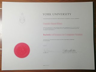 约克大学文凭