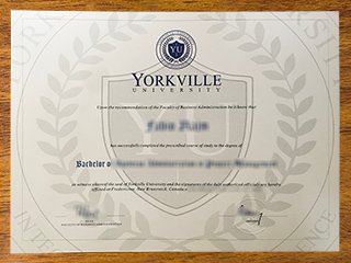 约克维尔大学毕业证书