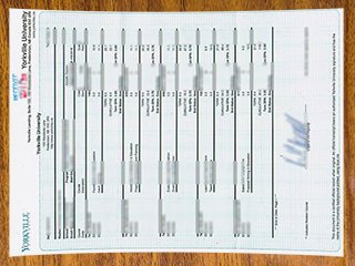 约克维尔大学官方成绩单